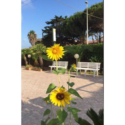 B&B Fiori Gialli Caucana