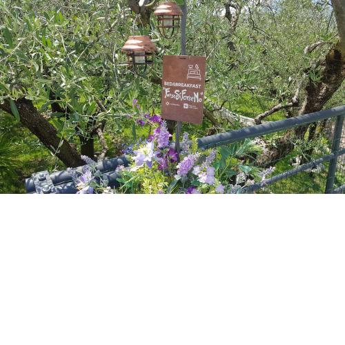 B&B ForseSiForseNo