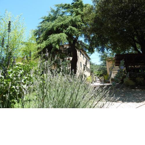 B&B Gabri