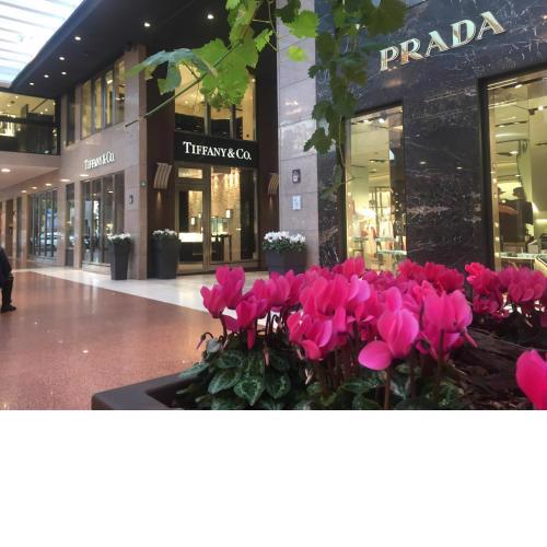 B&B Galleria Cavour