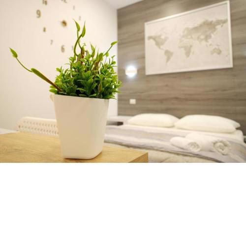 B&B Garosa