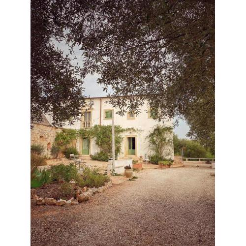 B&B Giovannarolla Green House