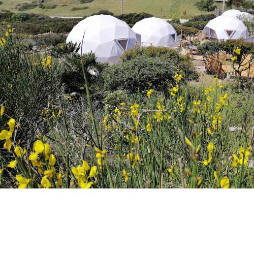B&B Glamping Semaforo Capo Sperone