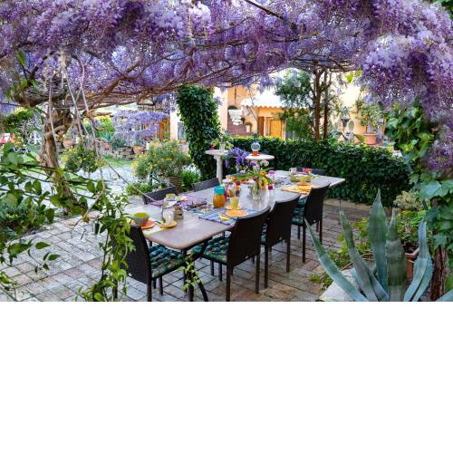 B&B Glicine
