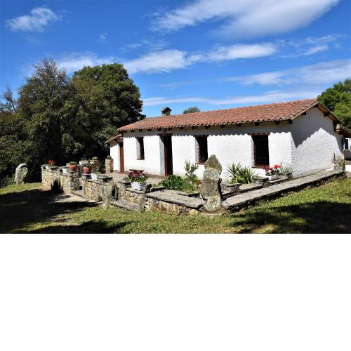 B&B I Menhir
