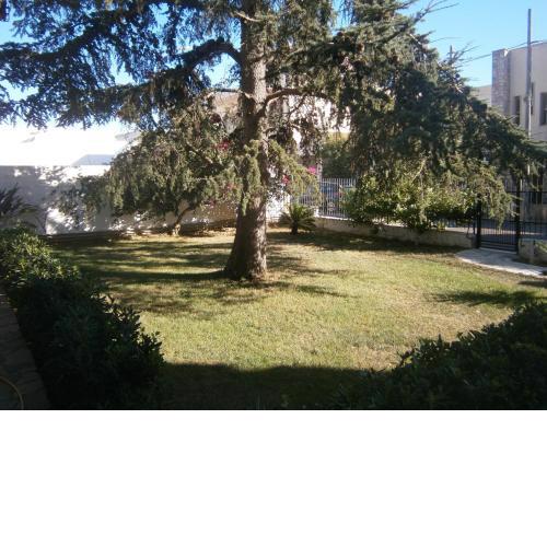 B&B Il Cedro