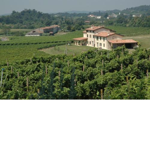 B&B Il Filo'
