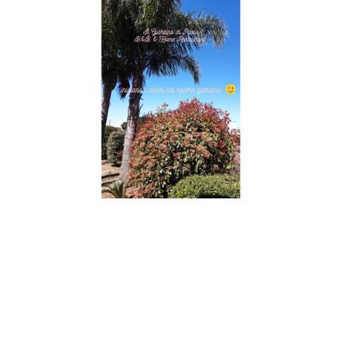 B&B Il Giardino di Paola