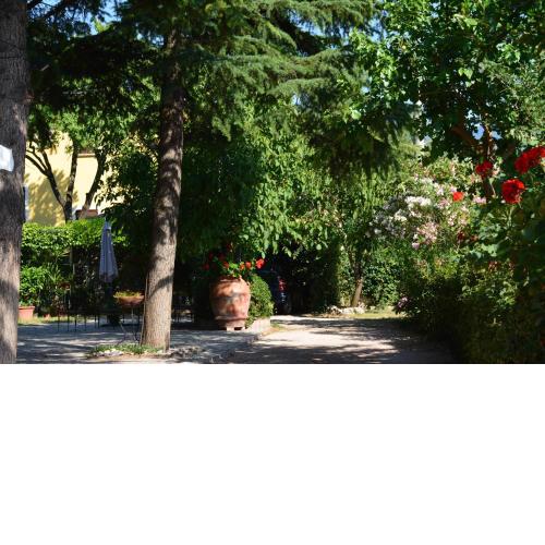 B&B Il Giovine
