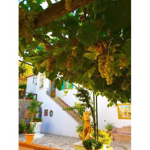 B&B Il Grappolo