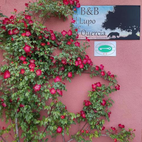 B&B il Lupo e la Quercia