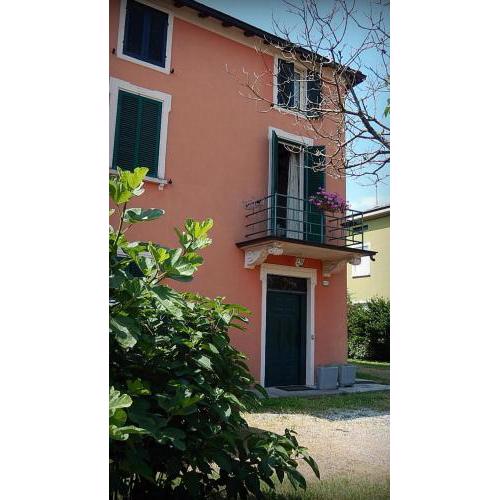 B&B Il moro selvatico