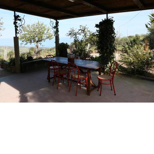 B&B Il Vigneto