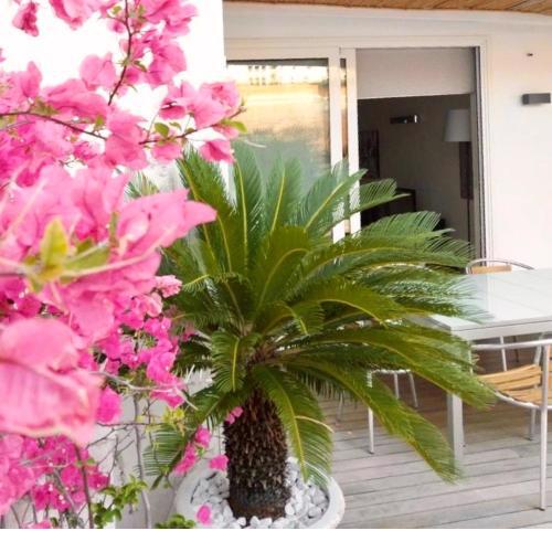 B&B Interno 3