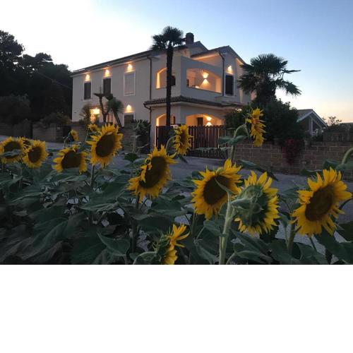 B&B Isa and Apartments