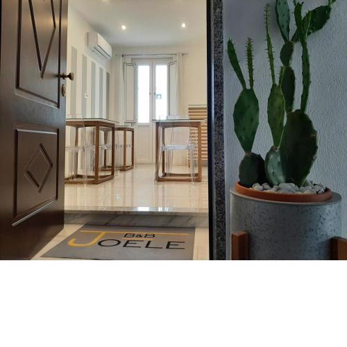 B&B JOELE