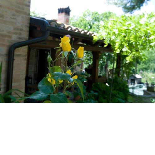 B&B La Cappellania