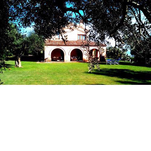 B&B La Casa tra gli Ulivi