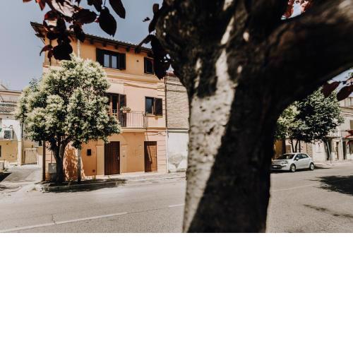 B&b La Cicala
