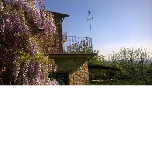 B&B La Civetta