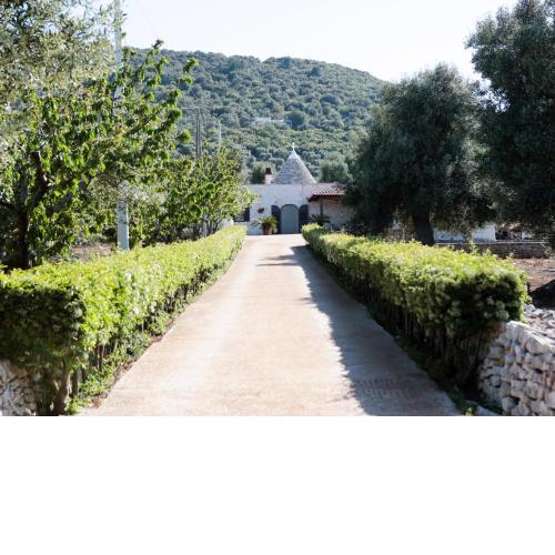 B&B La Collina Degli Ulivi