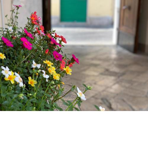 B&B La Corte