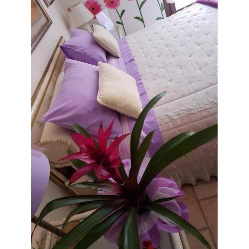 B&B La Delice