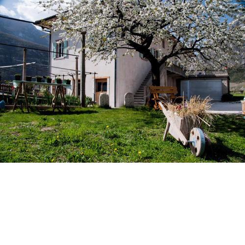 B&B La Fosina
