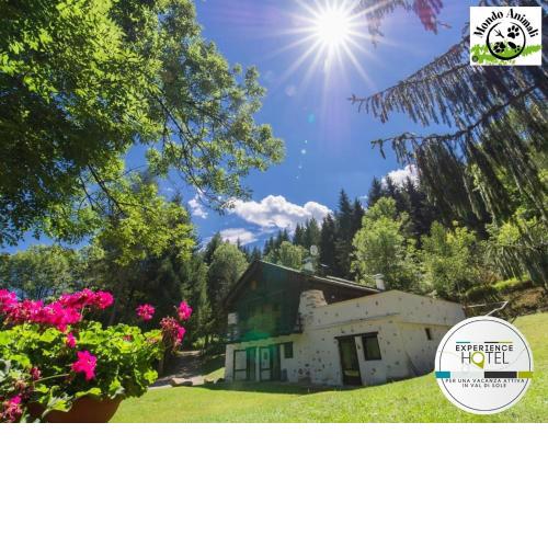 B&B La locanda delle pulci Bio Welness