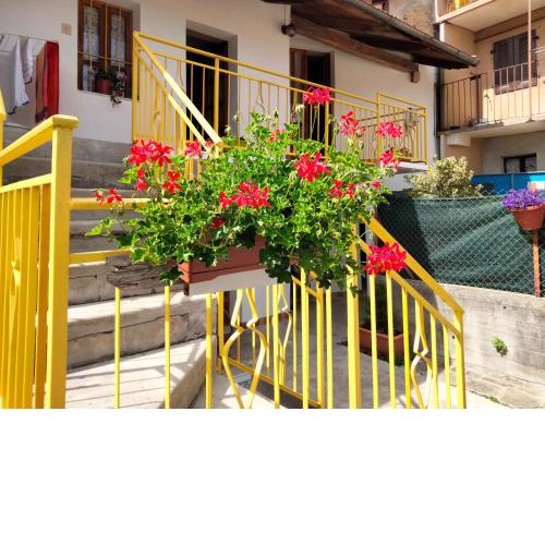 B&B LA MARMOTTA