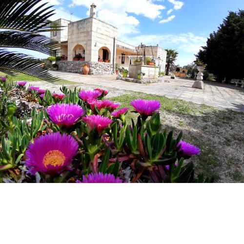 B&B La Nicchiarica