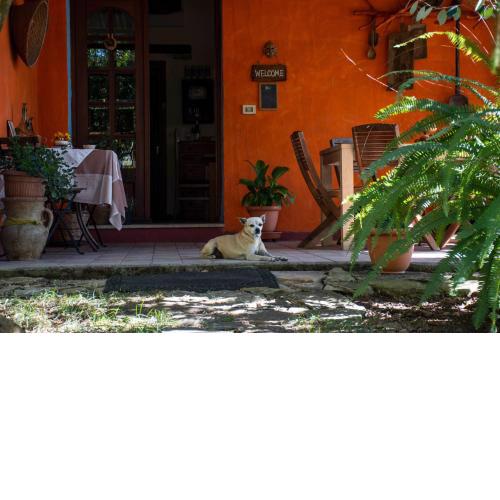 B&B La Noria