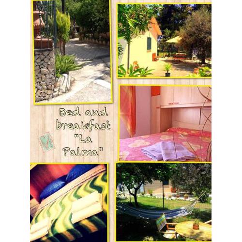 B&B La Palma