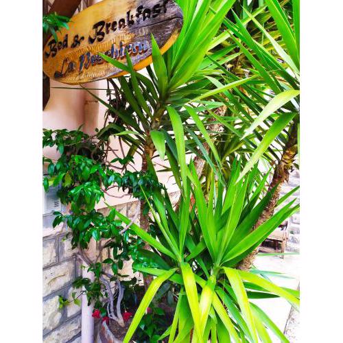 B&B La Peschiera