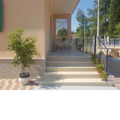 B&B La pineta