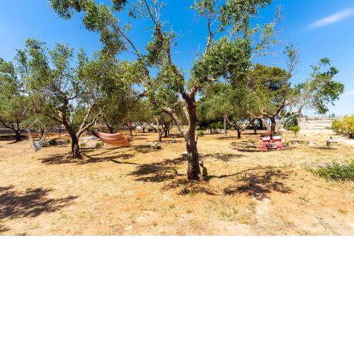B&B L'Albero d'Oro