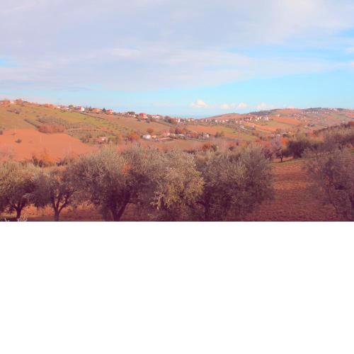 b&b L'Alloggio
