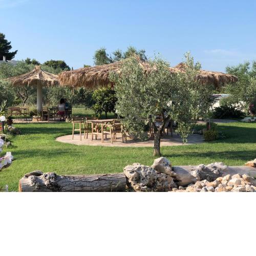 B&B Le Cicale