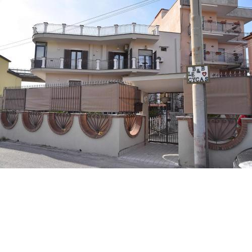 B&b Le Cycas
