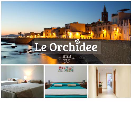 B&B Le Orchidee