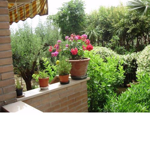 B&B Le Palme