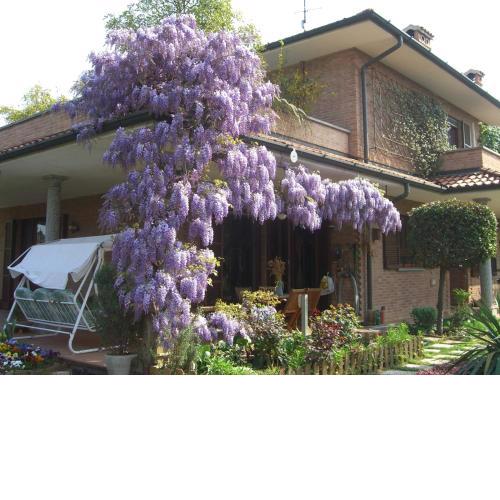 B&B Les Fleurettes