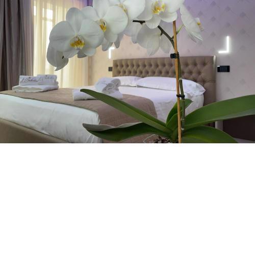 B&B L'Orchidea
