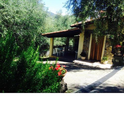 B&B L'Uliveto