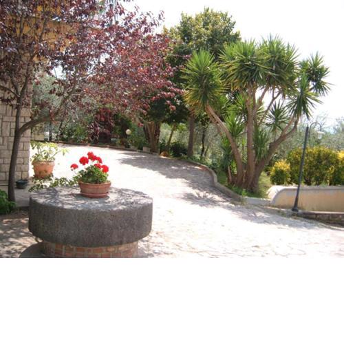 B&B L'Uliveto