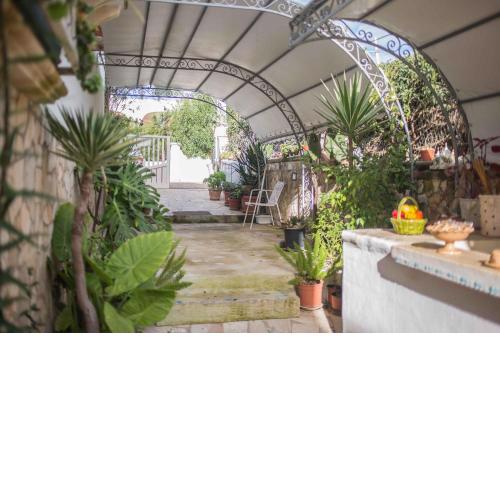B&B Marchese