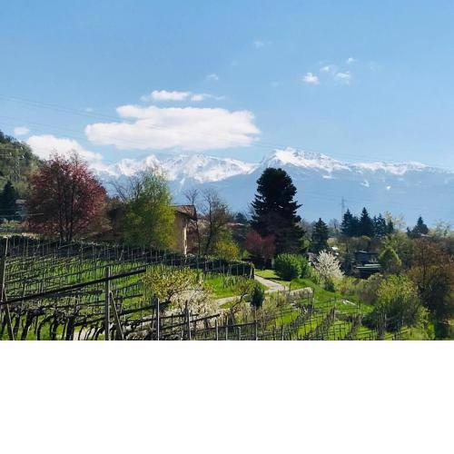 B&B Marina “La Casa in Collina”
