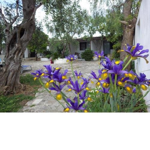 B&B Masseria Liberatore
