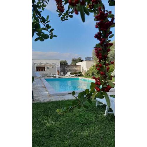 B&B Masseria Sant'Angelo