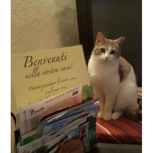 B&B Meladormo